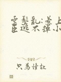 云鬓乱:惹上奸臣逃不掉小说免费阅读封面