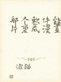 哪个软件能把照片变成漫画封面
