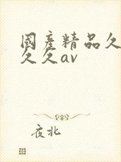 国产精品久久久久久av