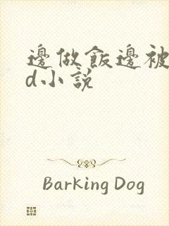 边做饭边被躁bd小说封面