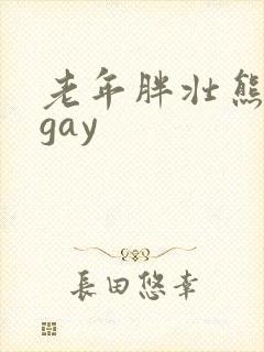 老年胖壮熊同性gay
