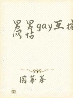 男男gay互操网站