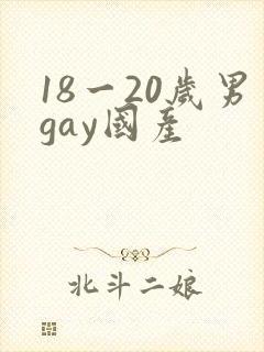 18一20岁男gay国产