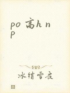 po 高h np