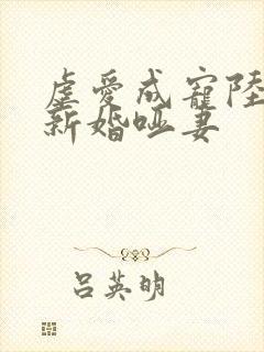 虐爱成宠陆总的新婚哑妻
