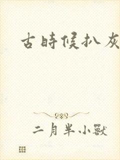 古时候扒灰小说