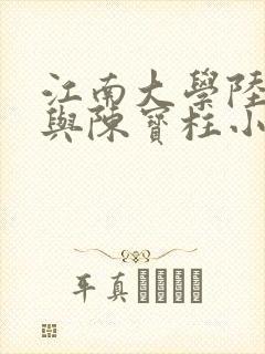 江南大学陆冰嫣与陈宝柱小说