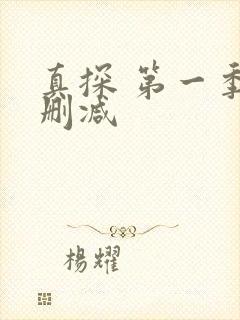 真探 第一季未删减封面
