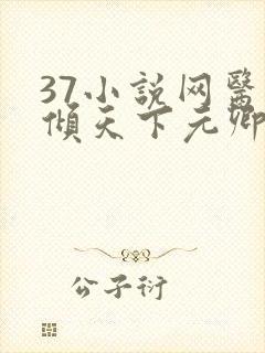 37小说网医妃倾天下元卿凌