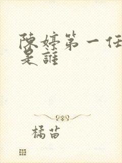 陈婷第一任丈夫是谁封面