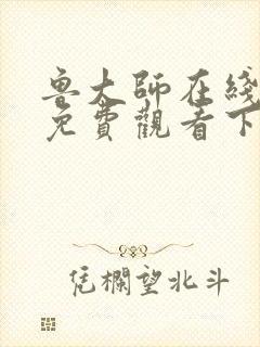 鲁大师在线播放免费观看下载