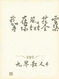 我在风花雪月里等你txt全集下载