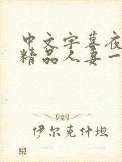 中文字幕夜夜嗨精品人妻一区二区