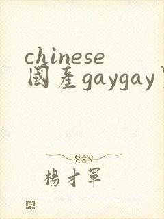 chinese国产gaygay男男网站