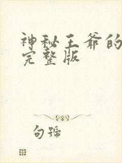 神秘王爷的爱妃完整版