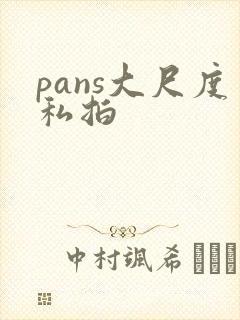 pans大尺度私拍封面