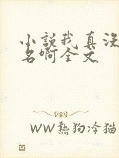小说我真没想出名啊全文