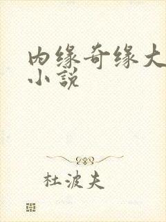 内缘奇缘大团圆小说