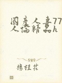 国产人妻777人伦精品h封面