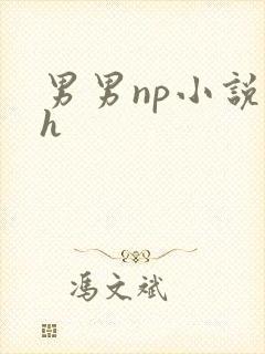 男男np小说高h