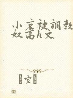 小哀被调教成肉奴高h文