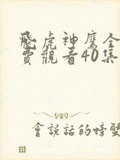 飞虎神鹰全集免费观看40集封面