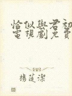 恰似与君初相识电视剧免费观看
