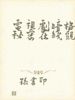 电视剧暗格里的秘密在线观看免费