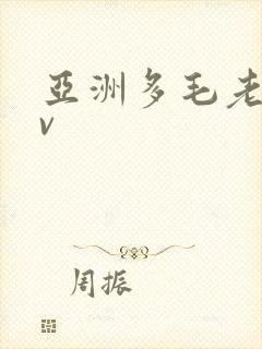 亚洲多毛老妇av