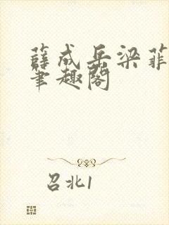 薛成岳梁菲小说笔趣阁