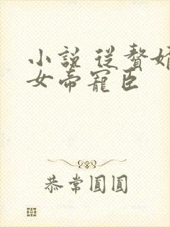 小说 从赘婿到女帝宠臣