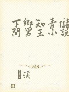 下乡知青储物空间男主小说封面