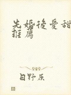 先婚后爱甜宠文推荐