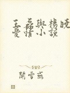 王磊与杨晓芬的爱情小说