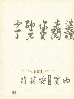 少帅你老婆又跑了免费阅读全文封面