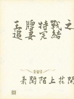 王牌特战之权少追妻完结