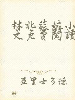 林北苏婉小说全文免费阅读最新章节封面