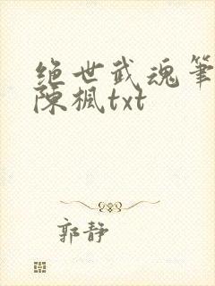 绝世武魂笔趣阁陈枫txt
