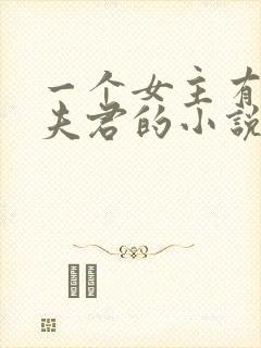 一个女主有七个夫君的小说