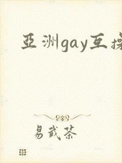 亚洲gay互操封面