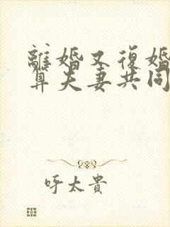离婚又复婚财产算夫妻共同财产吗?