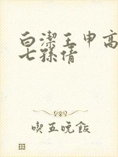 白洁王申高义老七孙倩