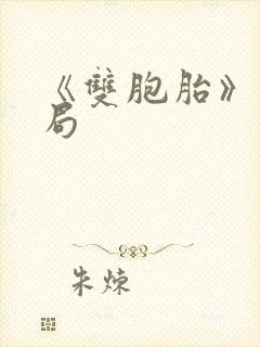 《双胞胎》大结局封面
