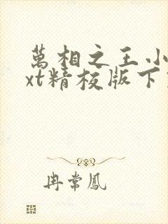 万相之王小说txt精校版下载