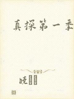 真探第一季美剧