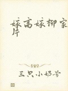 嫁高嫁柳家动画片