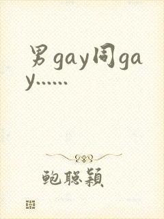 男gay同gay......封面