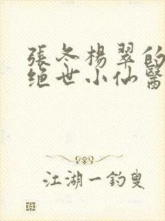 张冬杨翠的小说绝世小仙医封面