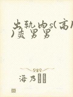 出轨内s(高h)爽男男
