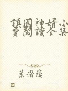 镇国神婿小说免费阅读全集封面